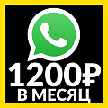 InCRM: WhatsApp